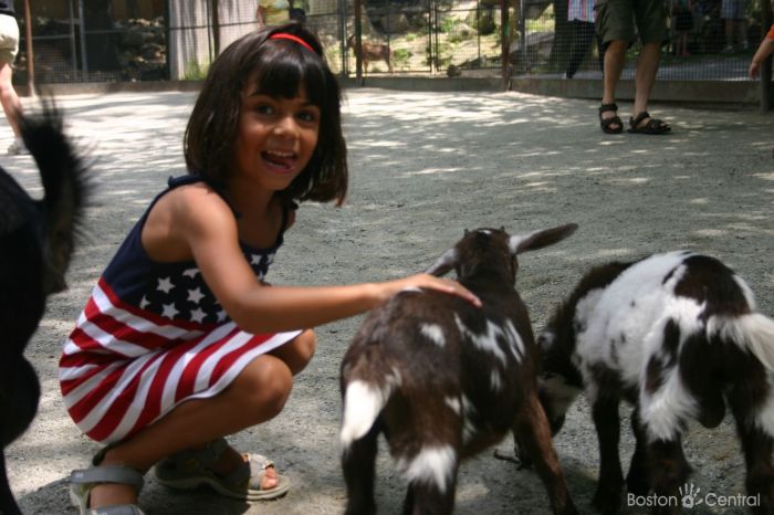 Ami Sao Boston Petting Zoos | BostonCentral 
